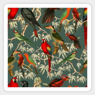 Tropical birds - green Sticker